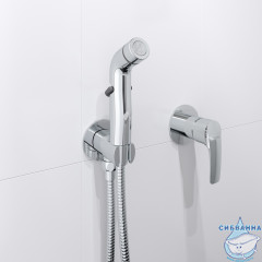 Встраиваемый смеситель с гигиеническим душем Iddis Ray RAYSBR2i08 (хром)