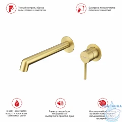 Смеситель для раковины встраиваемый Raglo R20.11.03 (сатин золотой)