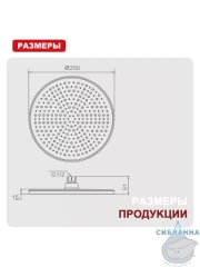 Верхний душ Raglo 250 R451.50.09 (графит)