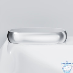 Мыльница AM.PM Sensation A3031200