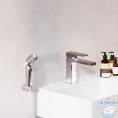 Смеситель с гигиеническим душем Damixa Gala 530300000 (хром)