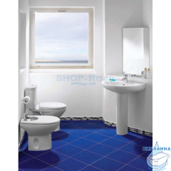 Унитаз напольный Roca Victoria 342399000 горизонтальный выпуск с бачком и сиденьем быстросъемным Soft Close (микролифт)