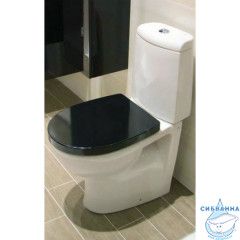 Сиденье для унитаза Roca Victoria Nord Black Edition ZRU9302627 чёрное