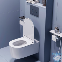 Унитаз подвесной Damixa Eclipse с сиденьем Soft Close (микролифт) DX31C1738SC