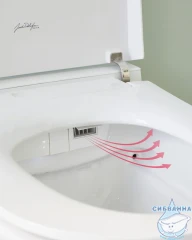 Инсталляция Jacob Delafon с кнопкой смыва в комплекте с унитазом Jacob Delafon Seine c сиденьем Soft close (микролифт) легкосъёмное E34360-00