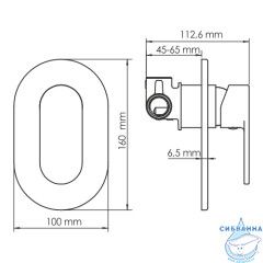 Встраиваемый смеситель для душа WasserKRAFT Elbe 7451 (хром/черный)