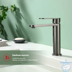 Смеситель для раковины Raglo R10.10.09 (графит)