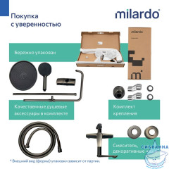 Душевая система Milardo Лип  250 LEAGM5FM06 1 режим (графит)