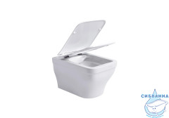 Унитаз подвесной безободковый Aquatek Амадео AQ1163-00 с сиденьем Soft Close (микролифт)