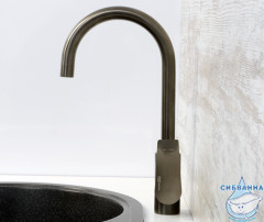 Смеситель для кухни Wasserkraft Wiese 8407 (черный матовый)