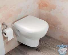 Унитаз подвесной безободковый Vitra Zentrum (без сиденья) 5795B003-0075