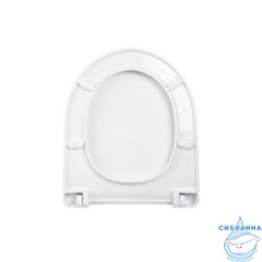 Сиденье для унитаза, полипропилен, Soft Close, IDDIS, 006, 006PPSCi31