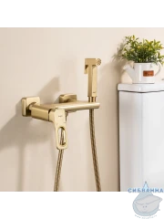 Встраиваемый смеситель с гигиеническим душем Raglo R51.51.03 (сатин золотой)