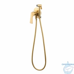 Встраиваемый смеситель с гигиеническим душем Raglo R07.52.03 (сатин золотой)