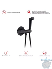 Смеситель Raglo R23.56.06 с гигиеническим душем (черный)