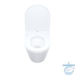 Унитаз подвесной безободковый, Ray, IDDIS, RAYRDSEi25