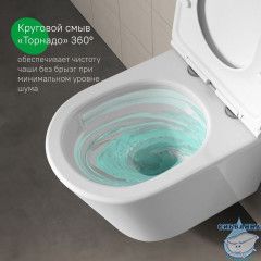 Унитаз подвесной безободковый, Ray, IDDIS, RAYRDSEi25