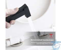 Встраиваемый смеситель Raglo R01.53.06 с гигиеническим душем (черный)