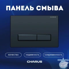 Кнопка смыва Charus Raiden FP.321.DW.01 черный матовый