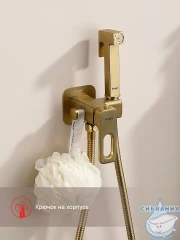 Встраиваемый смеситель с гигиеническим душем Raglo R51.52.03 (сатин золотой)