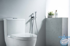 Смеситель с гигиеническим душем Aquatek Европа AQ1021CR (хром)