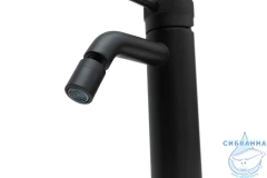 Смеситель для биде Allen Brau Priority 5.31A04-31 (черный матовый)