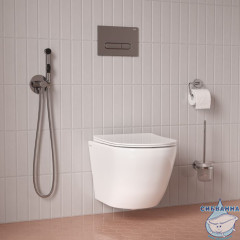 Встраиваемый смеситель с гигиеническим душем, IDDIS, 003SBR0i08