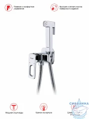 Встраиваемый смеситель с гигиеническим душем Raglo R51.52 (хром)