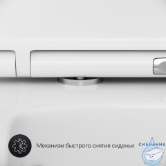Унитаз подвесной безободковый AM.PM  Inspire 2.0 FlashClean (с сиденьем Soft Close (микролифт) C50A1700SC
