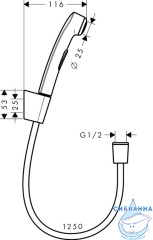 Гигиенический душ Hansgrohe 32129000