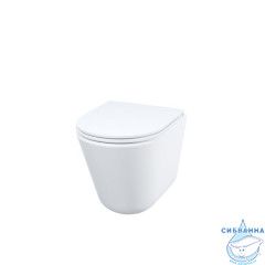 Унитаз подвесной безободковый, Ray, IDDIS, RAYRDSEi25