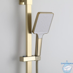 Душевая система Frap F2476-3 320 1 режим (сатин золотой)