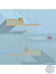 Держатель туалетной бумаги Raglo R301.03.03 (сатин золотой)