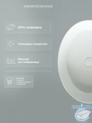  Раковина на столешницу 55 см Ceramicanova Element CN5002