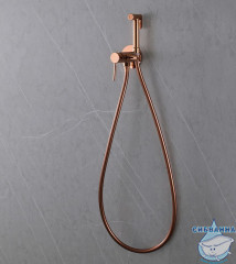 Встраиваемый смеситель с гигиеническим душем ABBER Wasser Kreis AF8125RG (розовое золото)