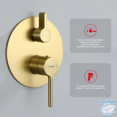 Душевая система Raglo 250 1 режим R20.27.03 (сатин золотой)