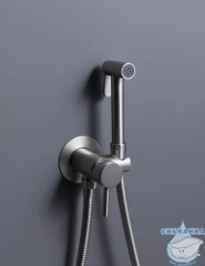 Встраиваемый смеситель с гигиеническим душем Allen Brau Priority 296359 (никель)