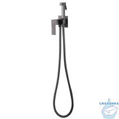 Встраиваемый смеситель с гигиеническим душем ABBER Daheim AF8226NG (никель)