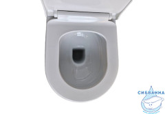 Унитаз подвесной безободковый Aquatek Поларис AQ0700-01 (с сиденьем Soft Close (микролифт)