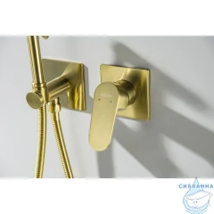 Смеситель с гигиеническим душем Aquatek Оберон AQ1220BG (золото шлифованное)