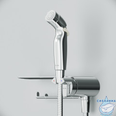 Cмеситель с гигиеническим душем Am.Pm Func F0H8F900 (хром)