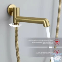 Душевая система Raglo 250 1 режим R20.27.03 (сатин золотой)