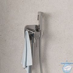 Встраиваемый смеситель с гигиеническим душем, хром глянцевый, IDDIS, 006SBS0i08