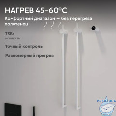 Полотенцесушитель электрический ABBER Charme AH4002MW белый матовый
