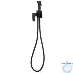 Встраиваемый смеситель с гигиеническим душем ABBER Wasserfall AF8625B (черный матовый)