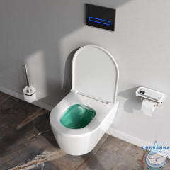 Унитаз подвесной AM.PM Func C8F1700SC с сиденьем Soft Close (микролифт)