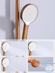 Душевая система Raglo 320 1 режим R07.24.33 (медь)