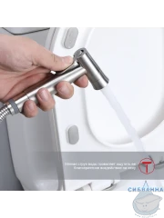 Встраиваемый смеситель с гигиеническим душем Raglo R10.52.05 (сатин)