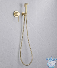 Встраиваемый смеситель с гигиеническим душем ABBER Emotion AF8825G (золото матовое)