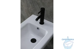 Смеситель для биде Allen Brau Priority 5.31004-31 (черный матовый)